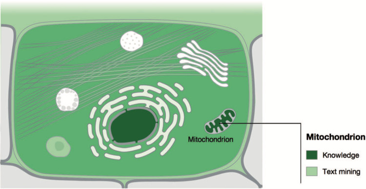 COMPARTMENTS schematic