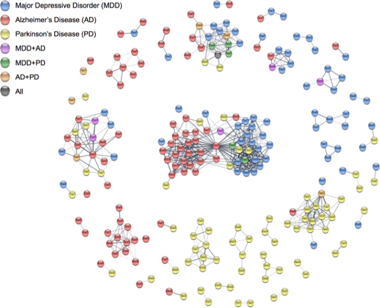 Disease network