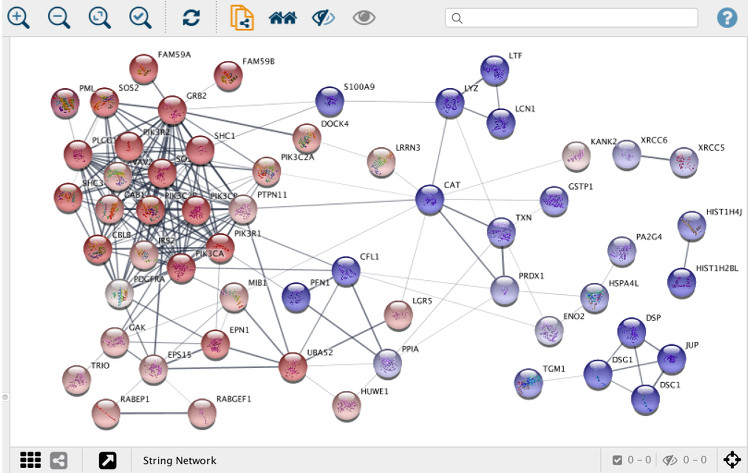 Molecular network resources - JensenLab