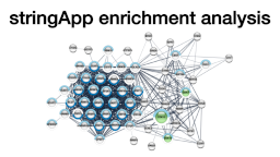 stringApp enrichment analysis